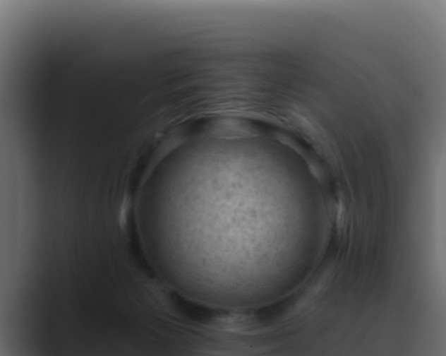 X0000089680125200706281405
