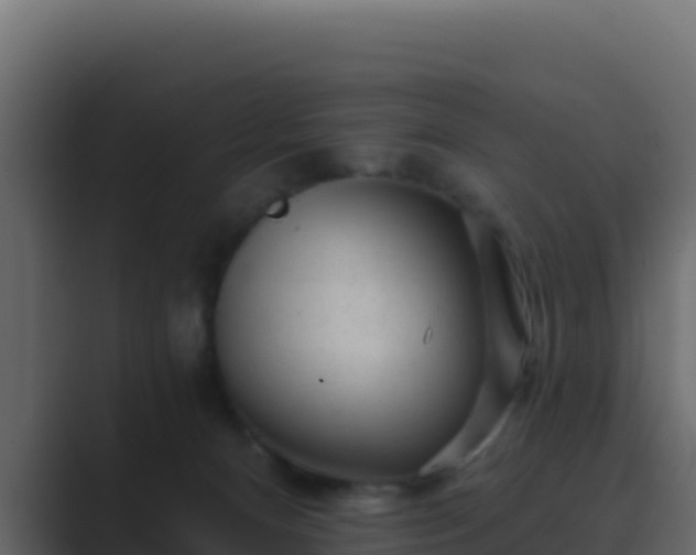 X0000089680128200706281405