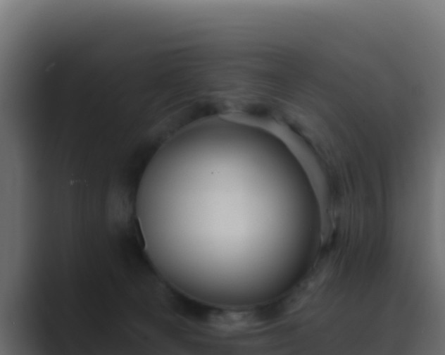 X0000089680129200706281405