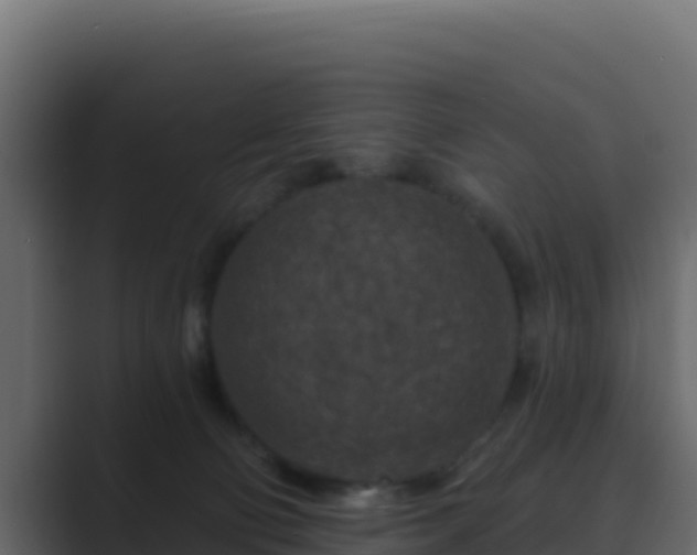 X0000089680130200706281404