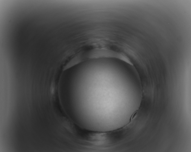 X0000089680132200706281404
