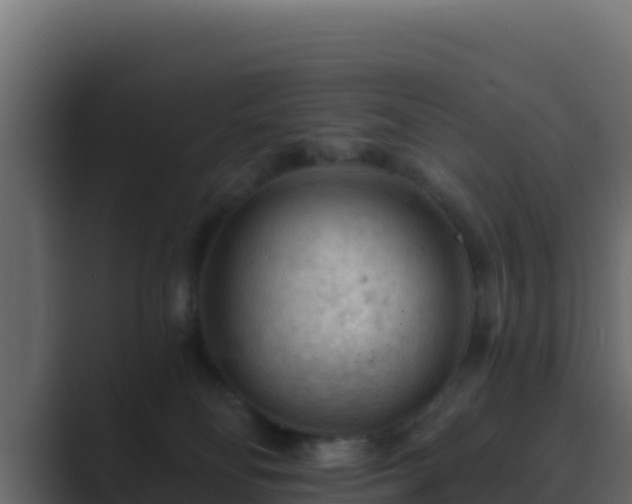 X0000089680134200706281404