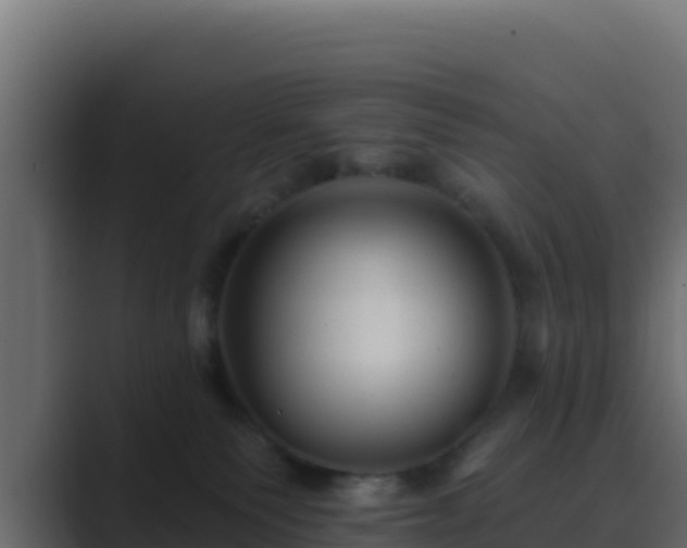 X0000089680135200706281404