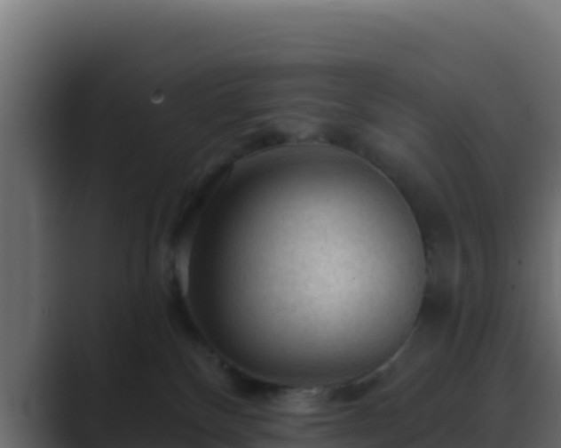 X0000089680136200706281404