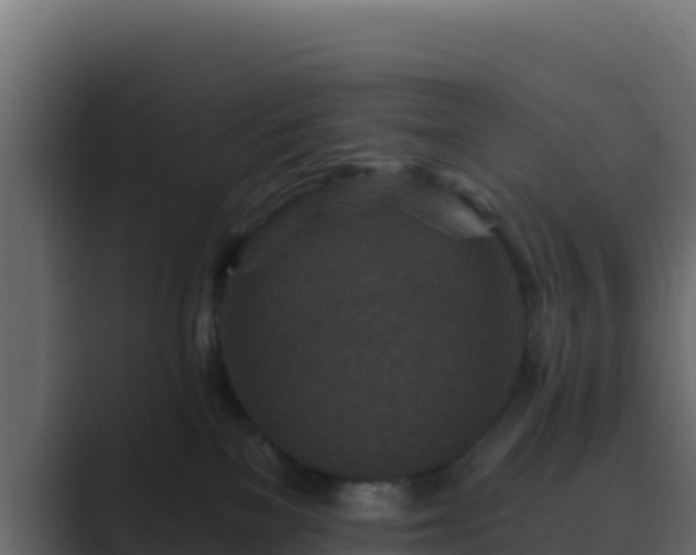 X0000089680137200706281404