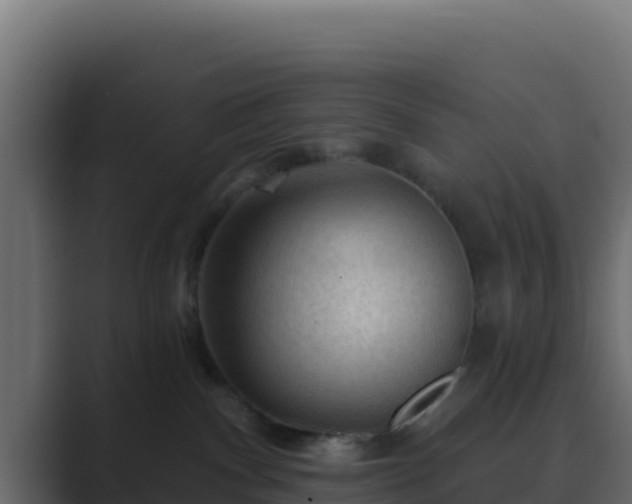 X0000089680140200706281404