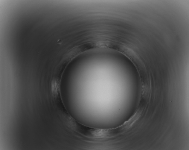 X0000089680142200706281404