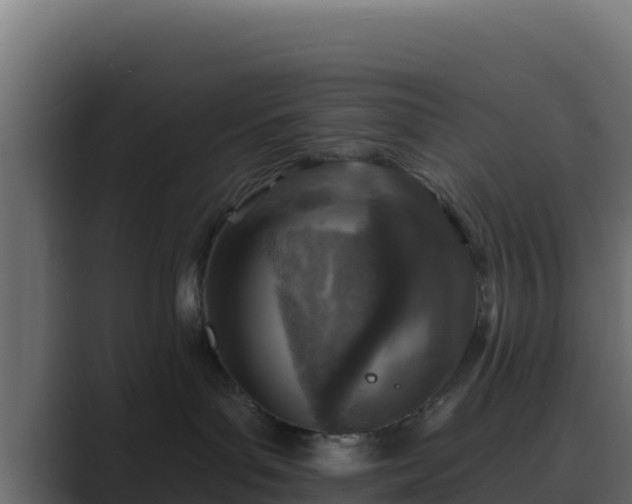 X0000089680143200706281404