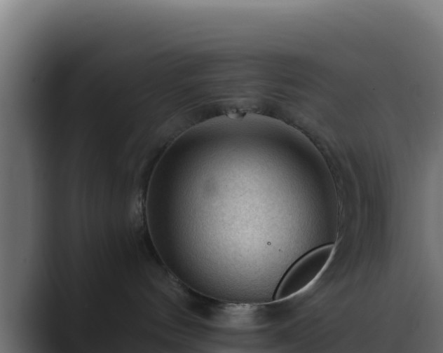 X0000089680144200706281404