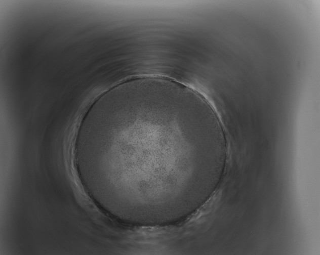 X0000089680145200706281404