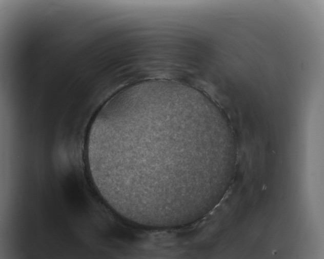 X0000089680146200706281404