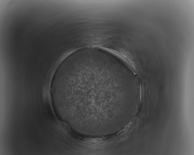 X0000089680147200706281404