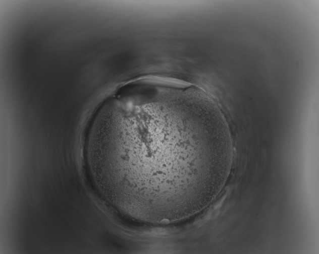 X0000089680149200706281404
