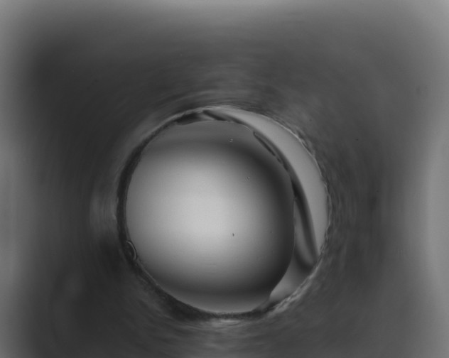 X0000089680150200706281404