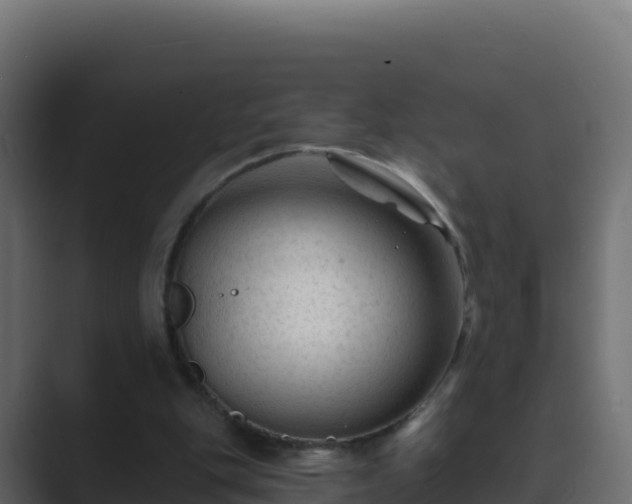 X0000089680151200706281404