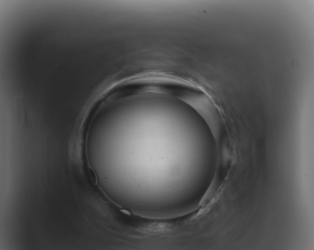 X0000089680152200706281404