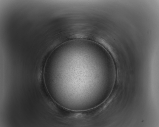 X0000089680153200706281404