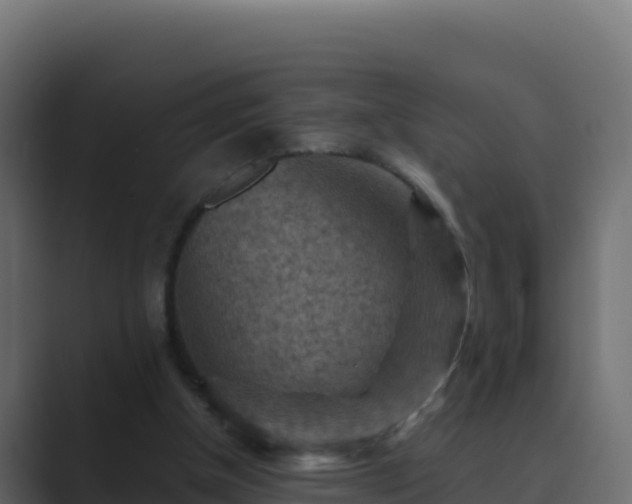 X0000089680154200706281404