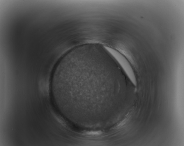 X0000089680156200706281404