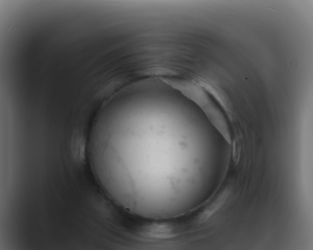 X0000089680157200706281404