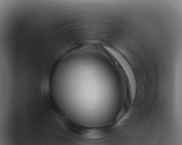 X0000089680158200706281404