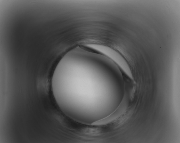 X0000089680160200706281404