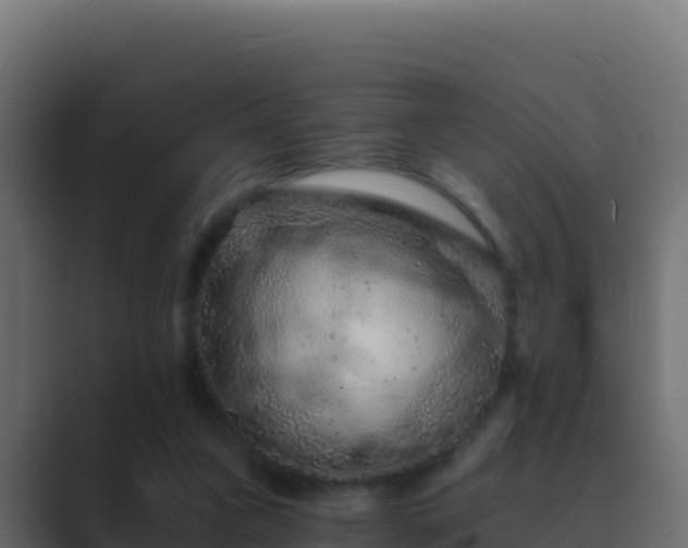 X0000089680161200706281404