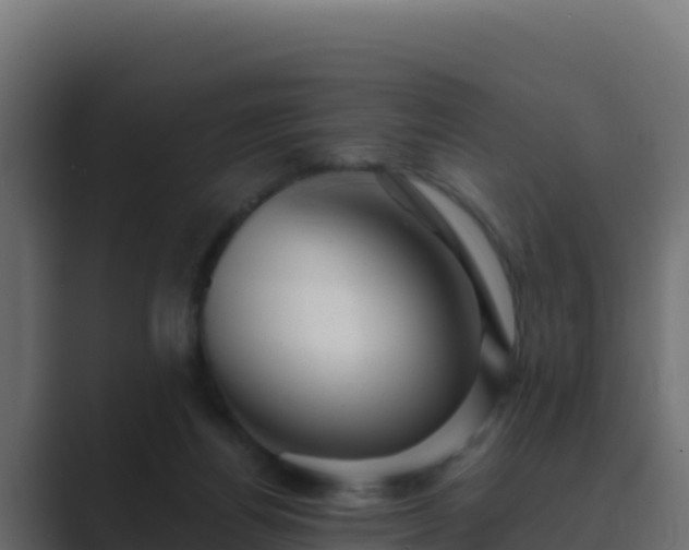X0000089680164200706281404