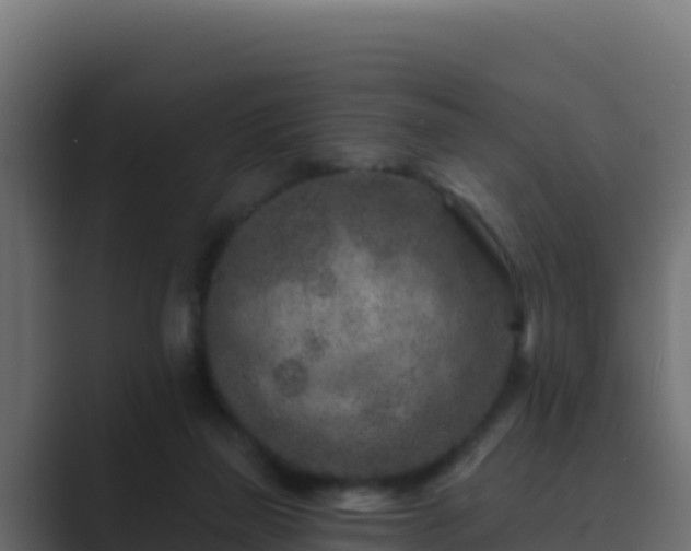 X0000089680165200706281404