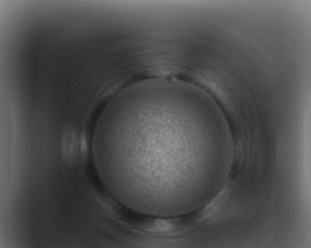 X0000089680166200706281404