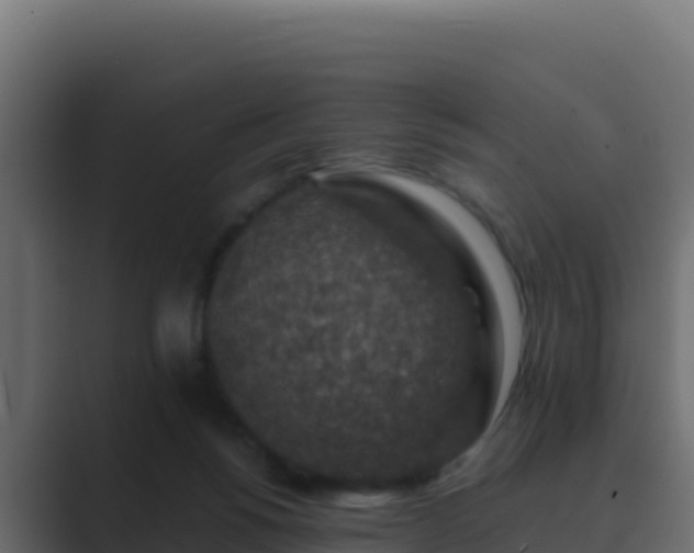 X0000089680168200706281404