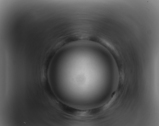 X0000089680170200706281404