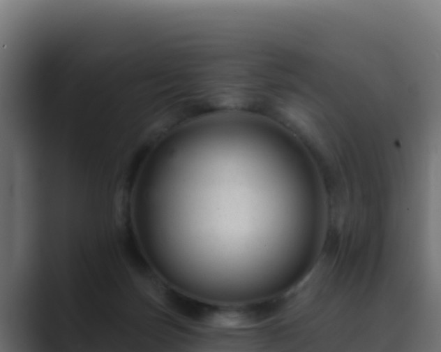 X0000089680171200706281404