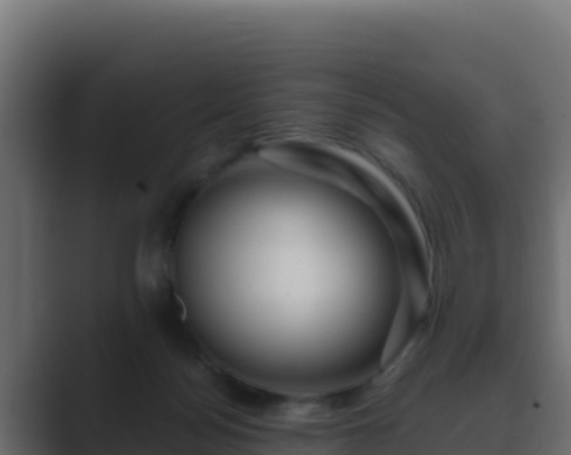 X0000089680172200706281404