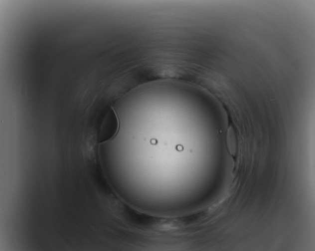 X0000089680175200706281404