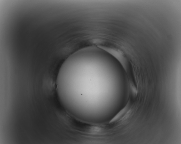 X0000089680176200706281404