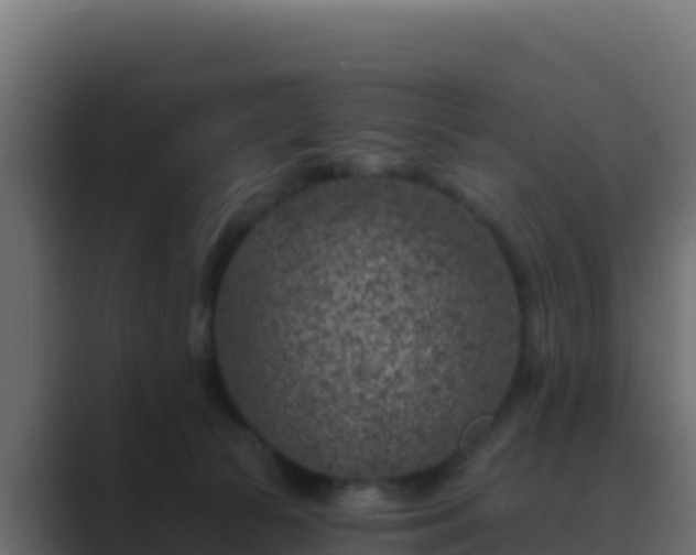 X0000089680177200706281404