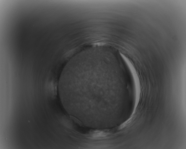 X0000089680180200706281404