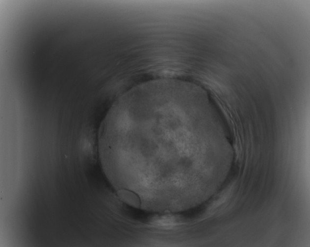 X0000089680181200706281404