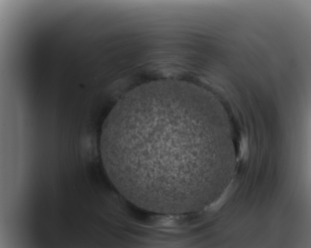 X0000089680182200706281404