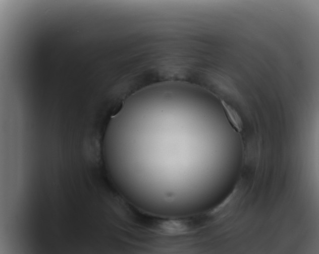 X0000089680183200706281404