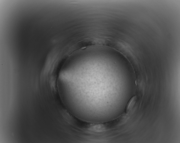 X0000089680185200706281404