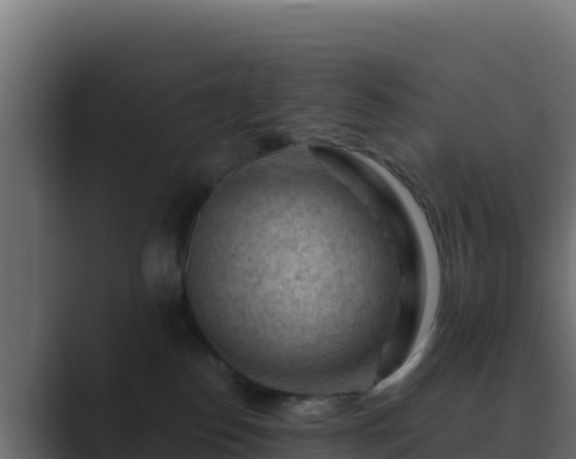 X0000089680186200706281404