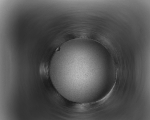 X0000089680190200706281404