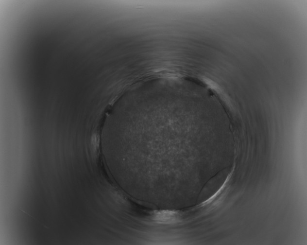 X0000089680192200706281404