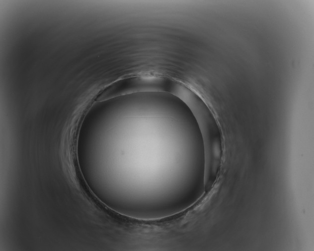 X0000089680193200706281404