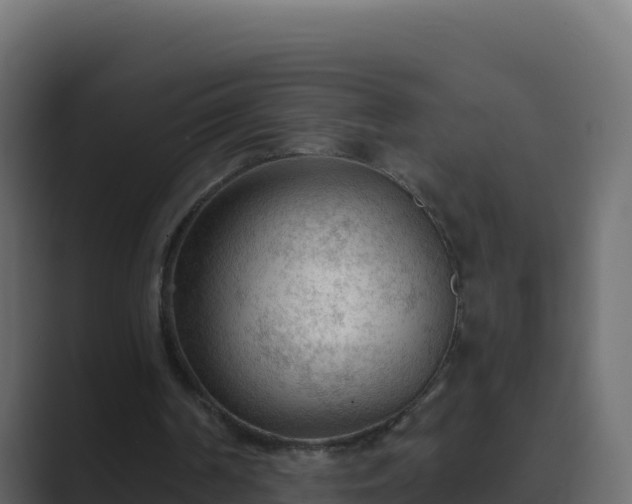 X0000089680194200706281404