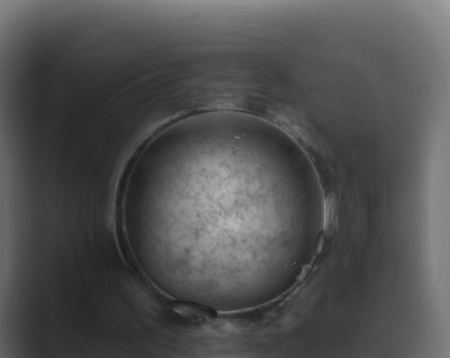 X0000089680195200706281404