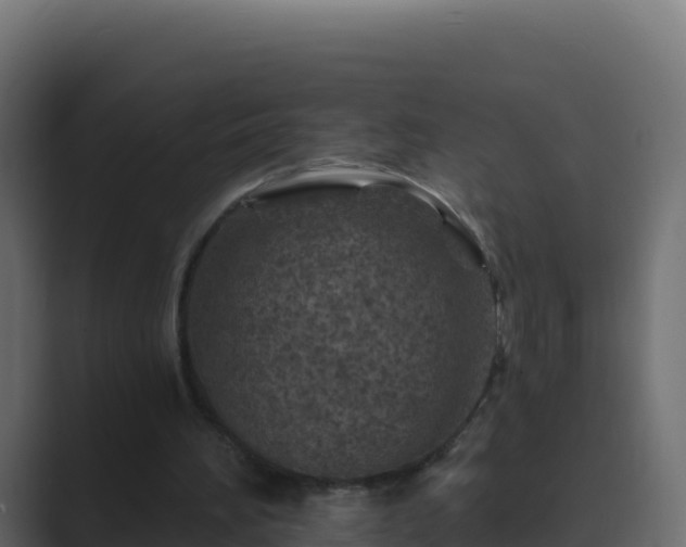 X0000089680196200706281404