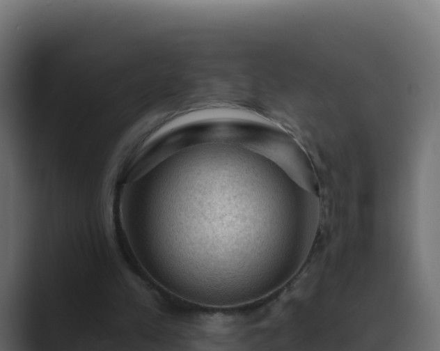 X0000089680197200706281404